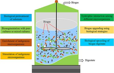 Frontiers | Editorial: Biological Strategies To Enhance The Anaerobic ...